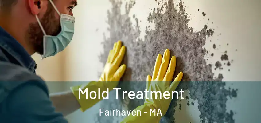 Mold Treatment Fairhaven - MA