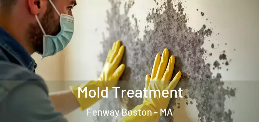  Mold Treatment Fenway Boston - MA