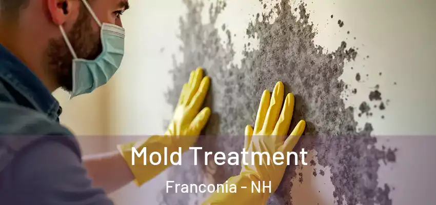 Mold Treatment Franconia - NH
