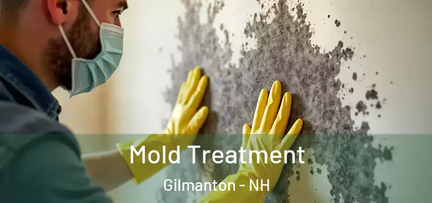  Mold Treatment Gilmanton - NH