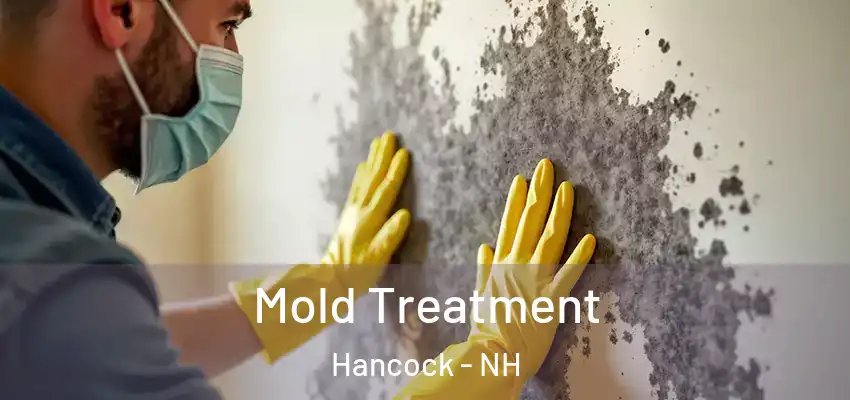  Mold Treatment Hancock - NH