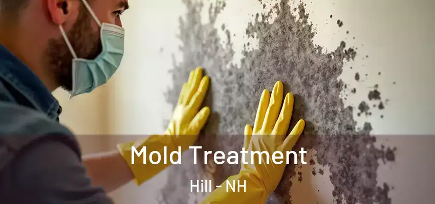  Mold Treatment Hill - NH