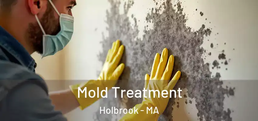 Mold Treatment Holbrook - MA