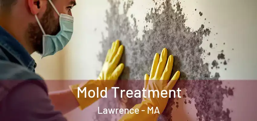  Mold Treatment Lawrence - MA