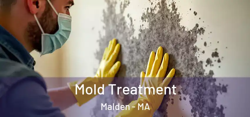  Mold Treatment Malden - MA