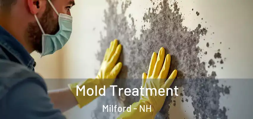 Mold Treatment Milford - NH