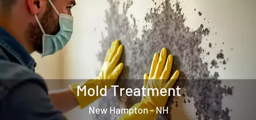  Mold Treatment New Hampton - NH