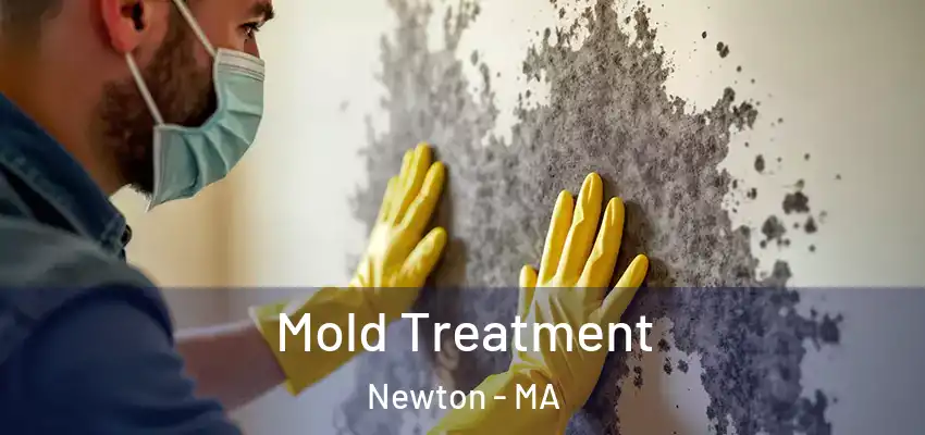  Mold Treatment Newton - MA