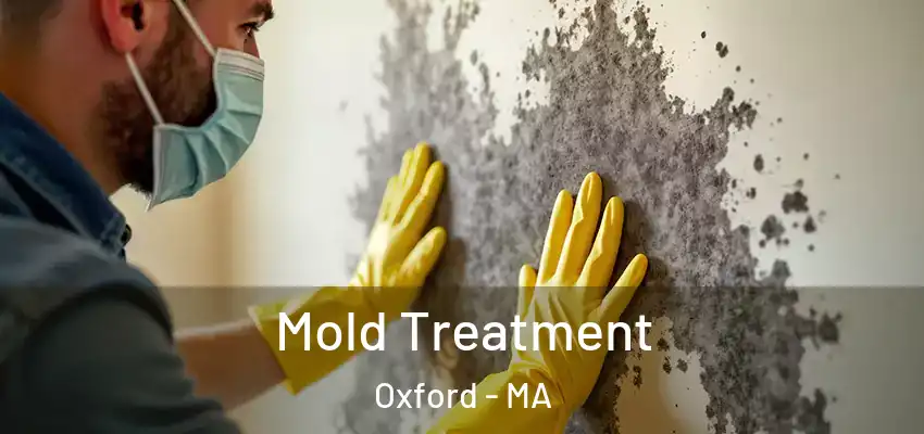 Mold Treatment Oxford - MA