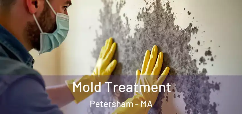 Mold Treatment Petersham - MA