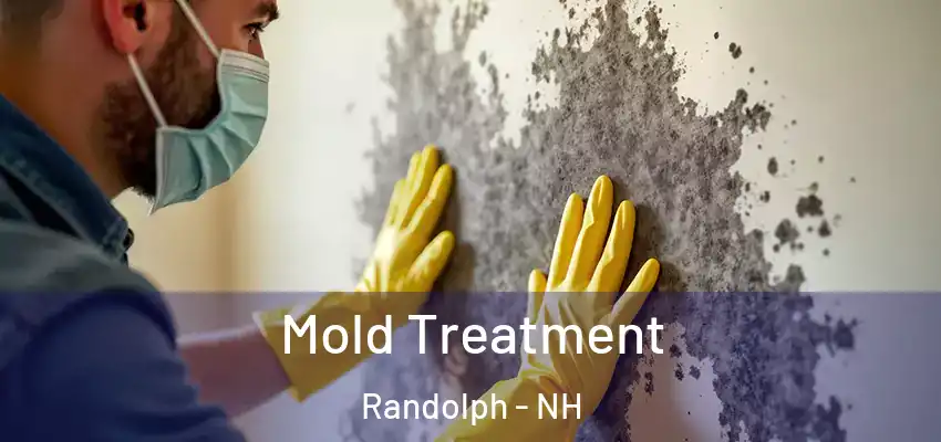 Mold Treatment Randolph - NH