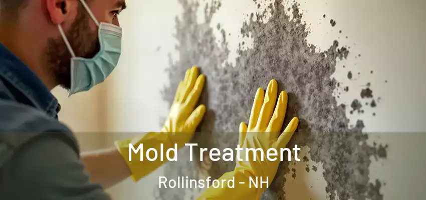 Mold Treatment Rollinsford - NH