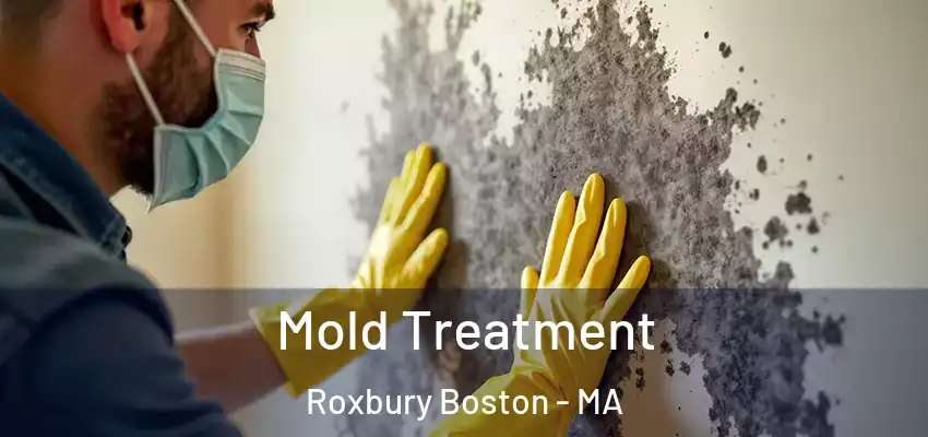  Mold Treatment Roxbury Boston - MA