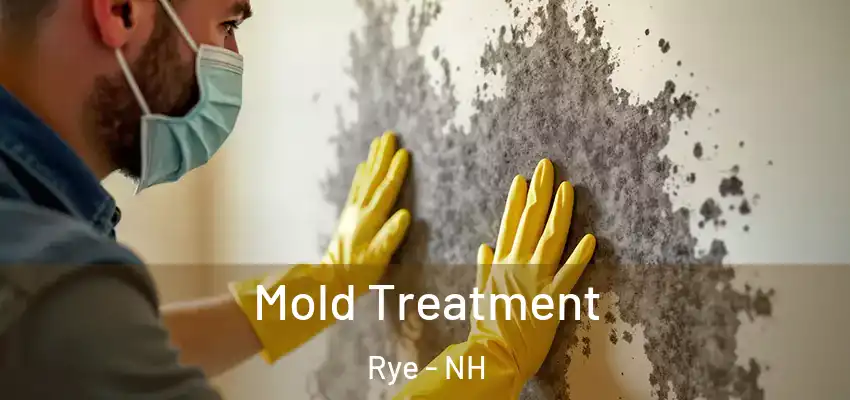  Mold Treatment Rye - NH