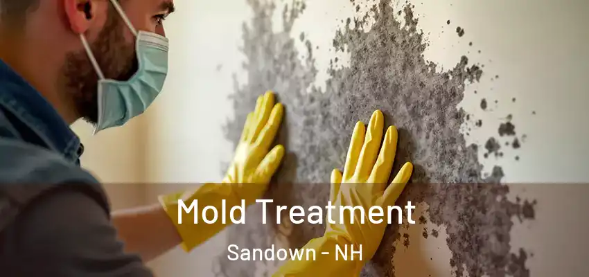 Mold Treatment Sandown - NH