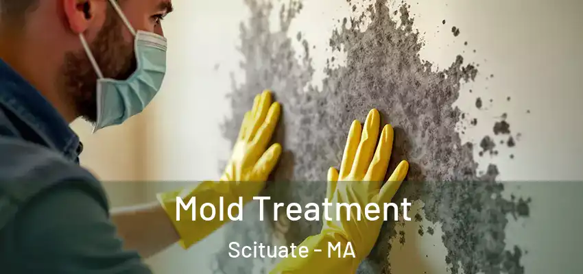 Mold Treatment Scituate - MA