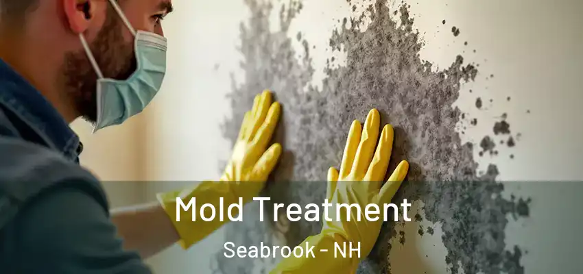 Mold Treatment Seabrook - NH