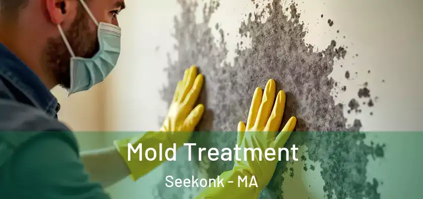 Mold Treatment Seekonk - MA