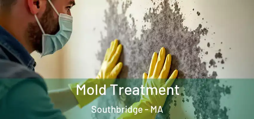 Mold Treatment Southbridge - MA