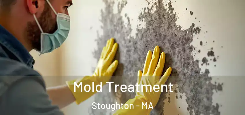  Mold Treatment Stoughton - MA