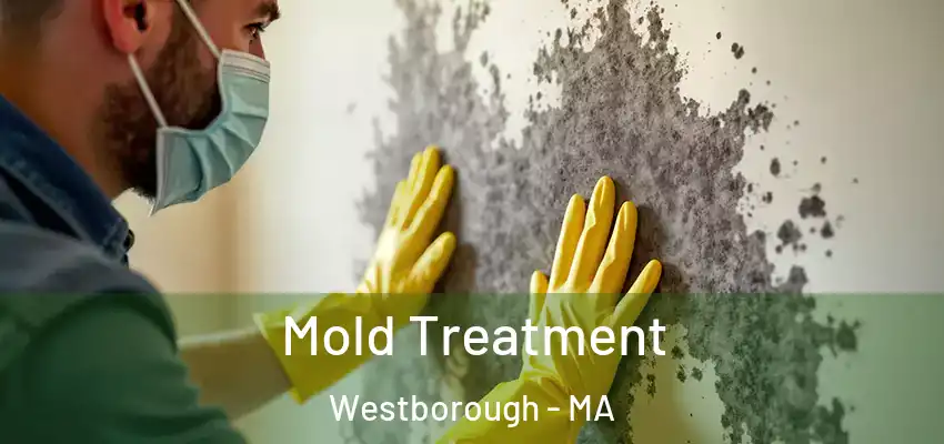 Mold Treatment Westborough - MA