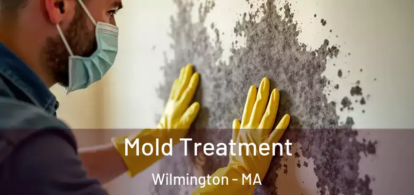  Mold Treatment Wilmington - MA