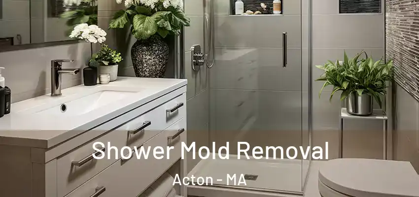  Shower Mold Removal Acton - MA