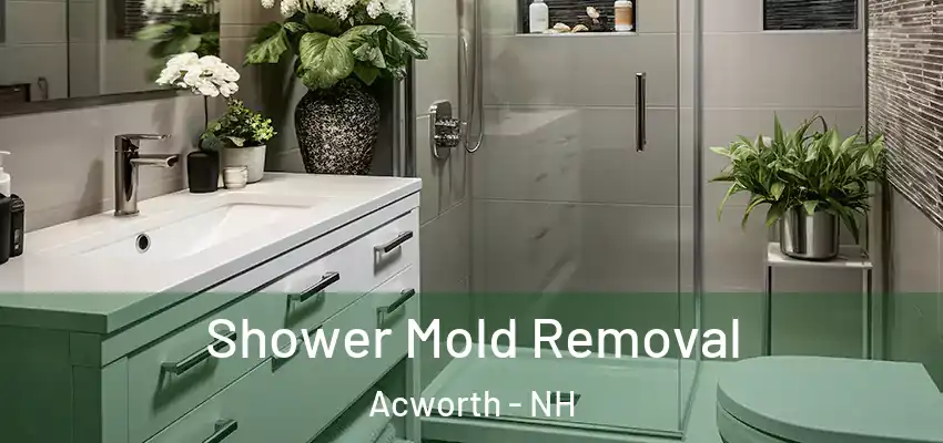 Shower Mold Removal Acworth - NH