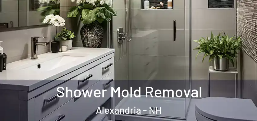 Shower Mold Removal Alexandria - NH