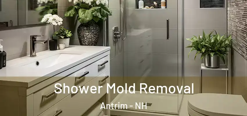  Shower Mold Removal Antrim - NH