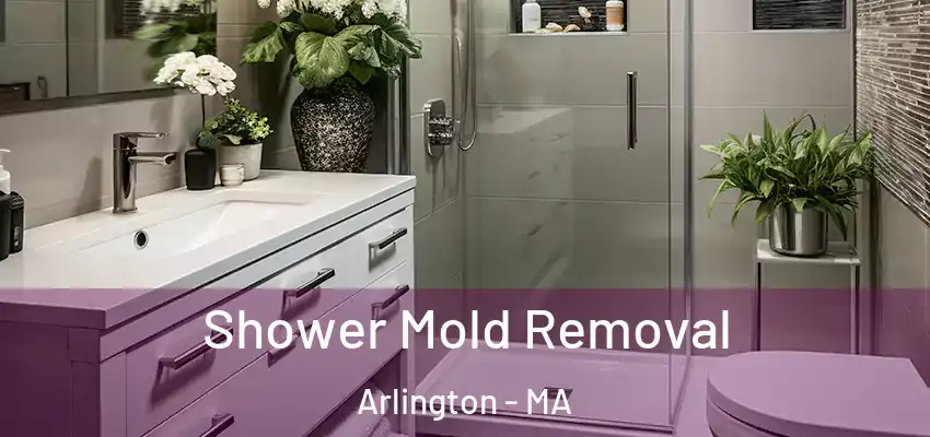 Shower Mold Removal Arlington - MA