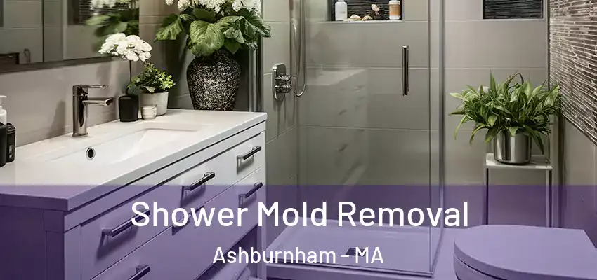 Shower Mold Removal Ashburnham - MA