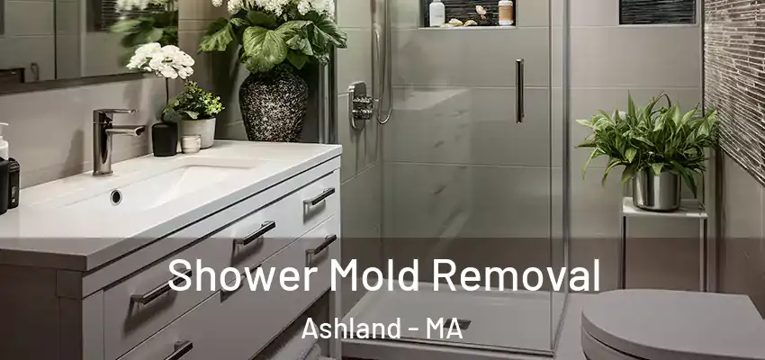 Shower Mold Removal Ashland - MA