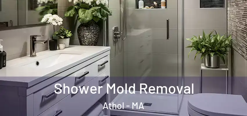  Shower Mold Removal Athol - MA