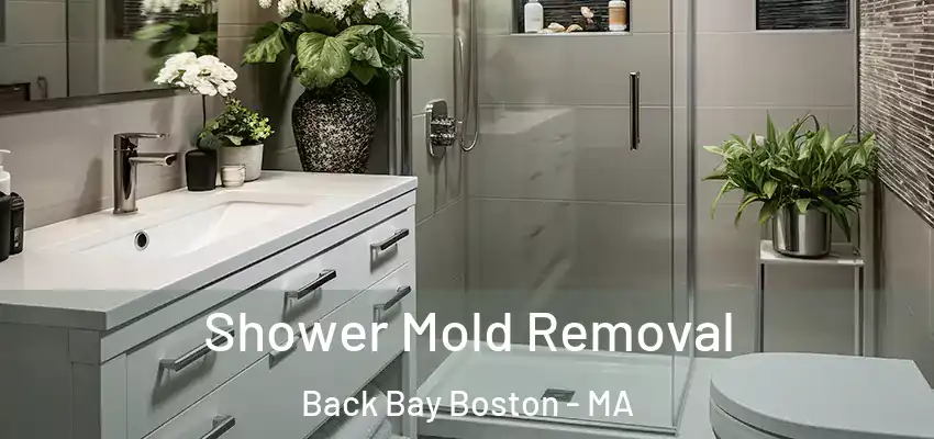 Shower Mold Removal Back Bay Boston - MA