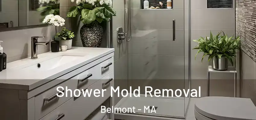 Shower Mold Removal Belmont - MA