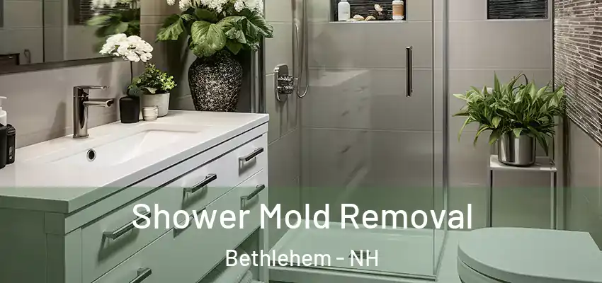 Shower Mold Removal Bethlehem - NH
