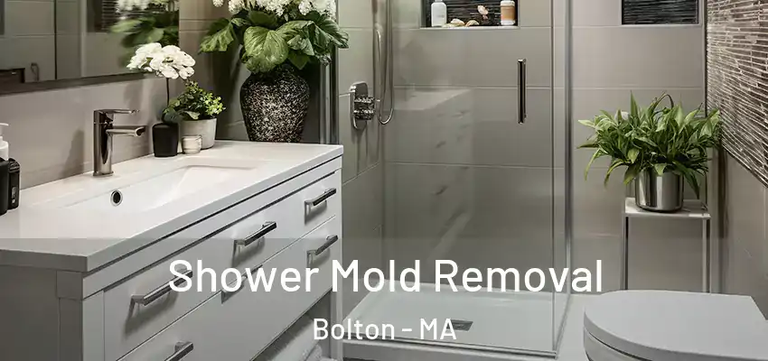 Shower Mold Removal Bolton - MA