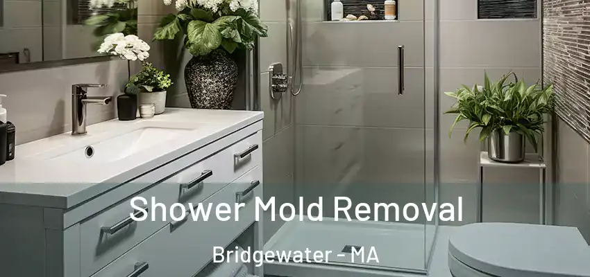 Shower Mold Removal Bridgewater - MA