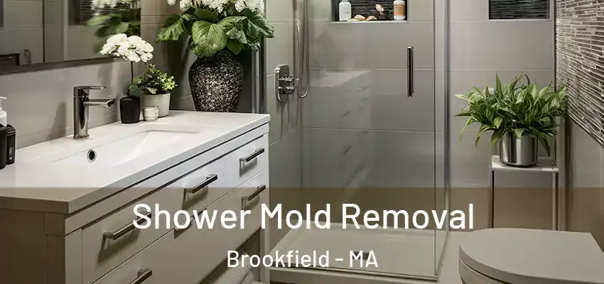  Shower Mold Removal Brookfield - MA