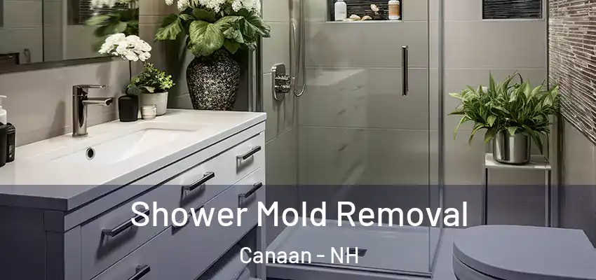 Shower Mold Removal Canaan - NH
