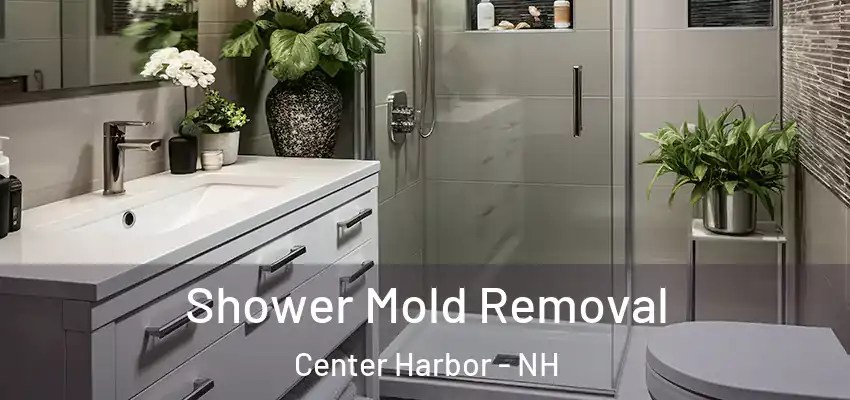 Shower Mold Removal Center Harbor - NH