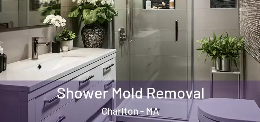  Shower Mold Removal Charlton - MA