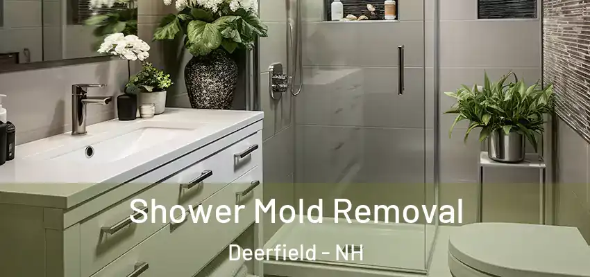  Shower Mold Removal Deerfield - NH