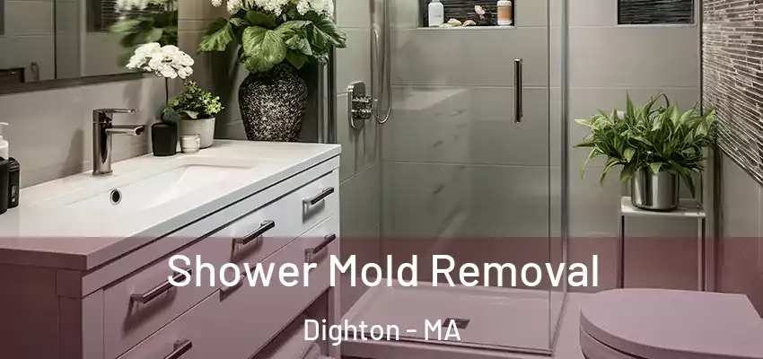  Shower Mold Removal Dighton - MA