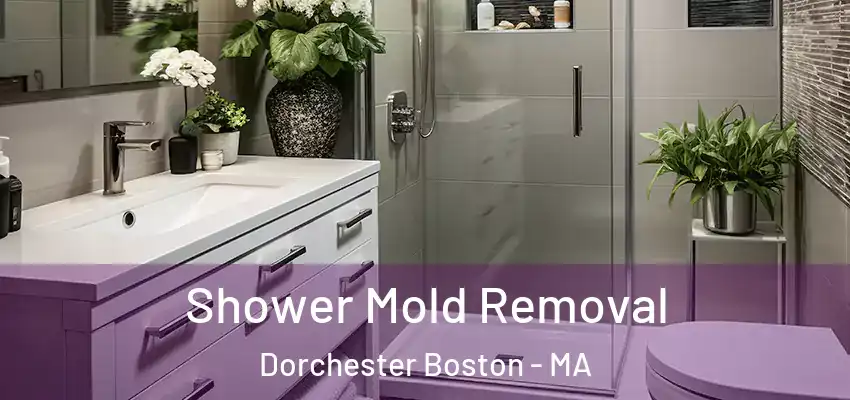  Shower Mold Removal Dorchester Boston - MA