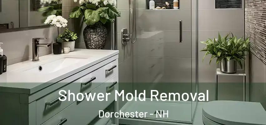 Shower Mold Removal Dorchester - NH