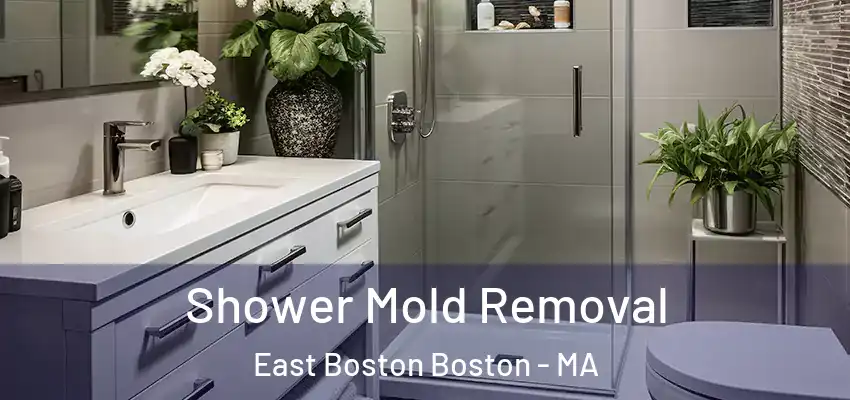 Shower Mold Removal East Boston Boston - MA