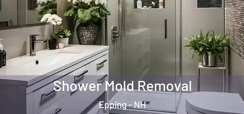  Shower Mold Removal Epping - NH