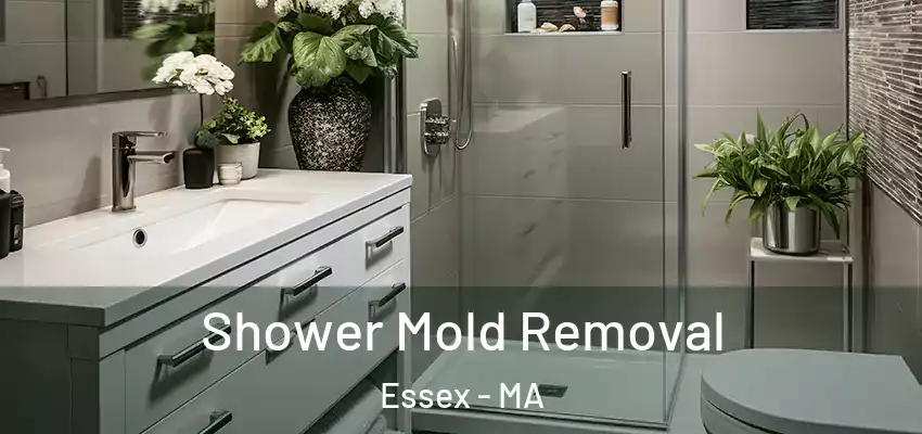  Shower Mold Removal Essex - MA